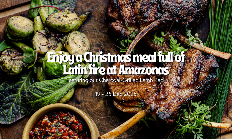 AMZ Xmas 800x480 (1).png